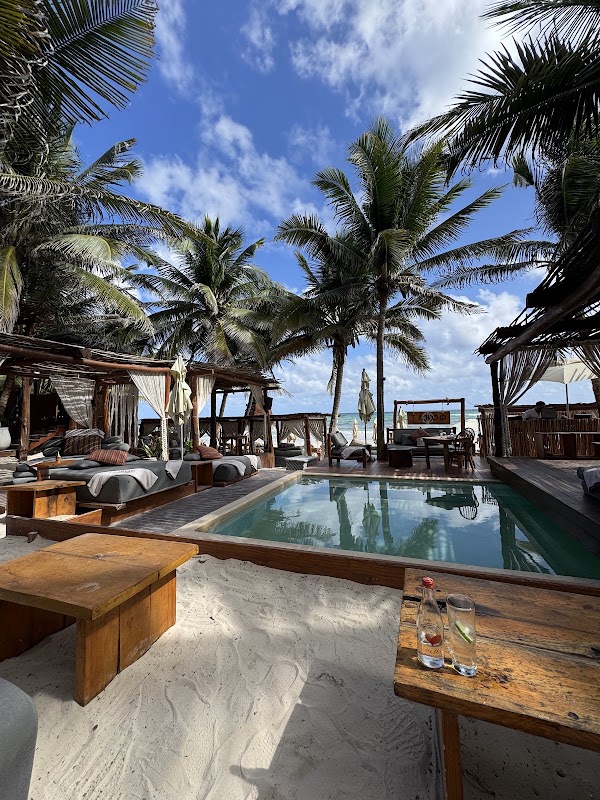 Taboo | Best Beach Club Tulum 4
