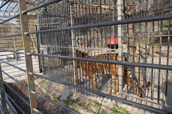 Morning Calm Family Zoo 2