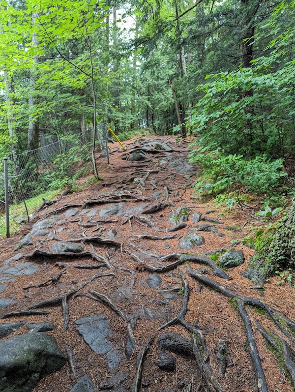 Oxtongue River - Ragged Falls Provincial Park 4