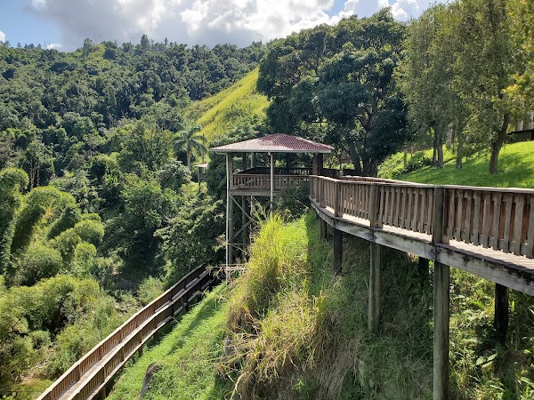 La Piedra Escrita 2