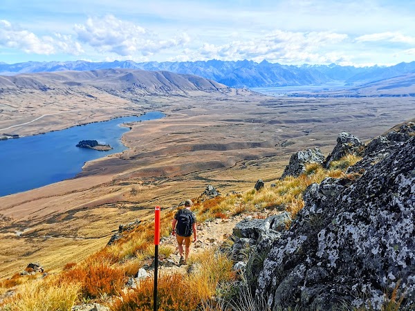 Nz 53