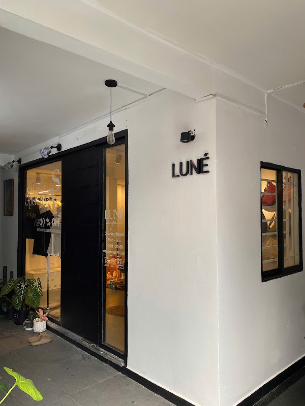 LUNÉ Magasin 1