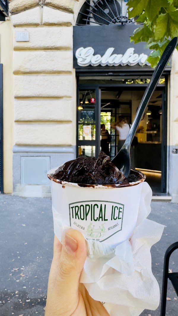 Tropical Ice 2