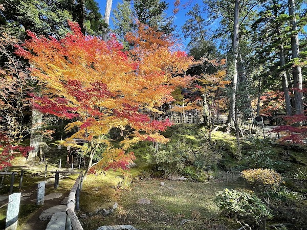 Saimyoji 2