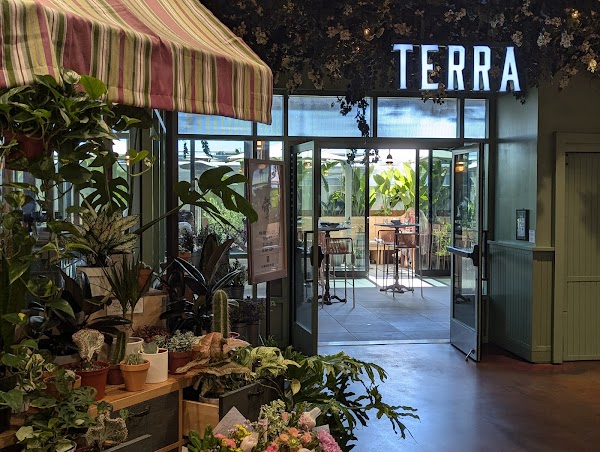 Terra 1