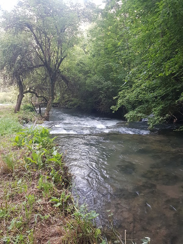 Bereg 3