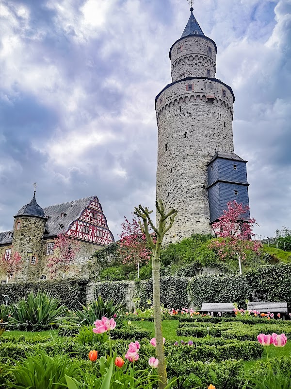 Frankfurt 7