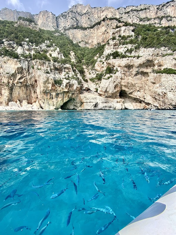 Gulf of Orosei 4