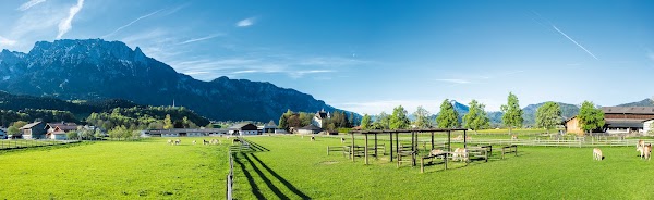 Haflinger Horse Breeders Association of Tyrol - Fohlenhof Ebbs