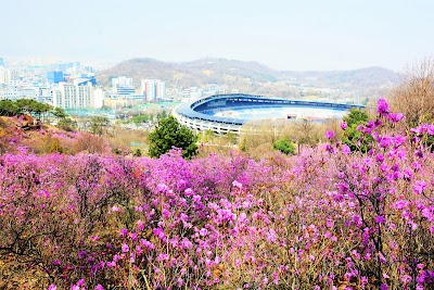 Korea  50