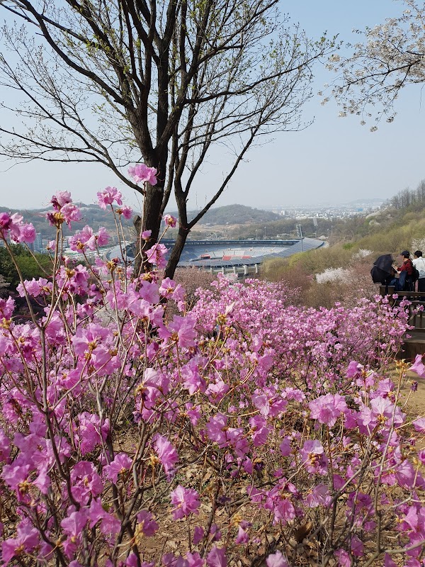 Bucheon Wonmi Park 5