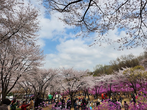 Bucheon Wonmi Park 4