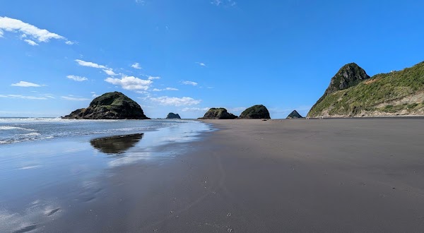 Ngā Motu / Sugar Loaf Islands 1