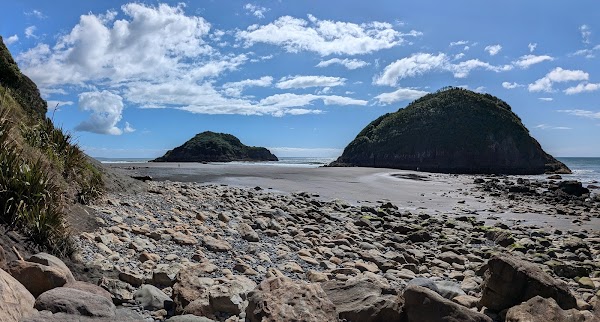 Ngā Motu / Sugar Loaf Islands 4