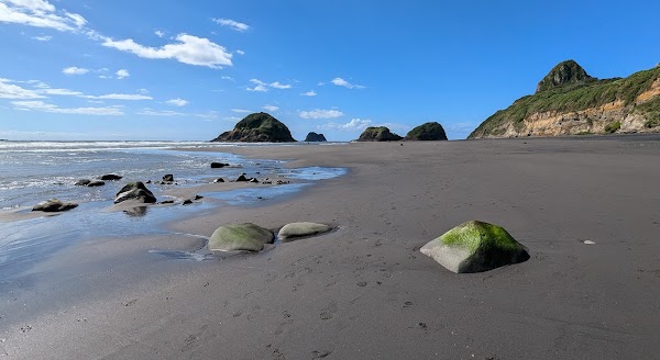Ngā Motu / Sugar Loaf Islands 2