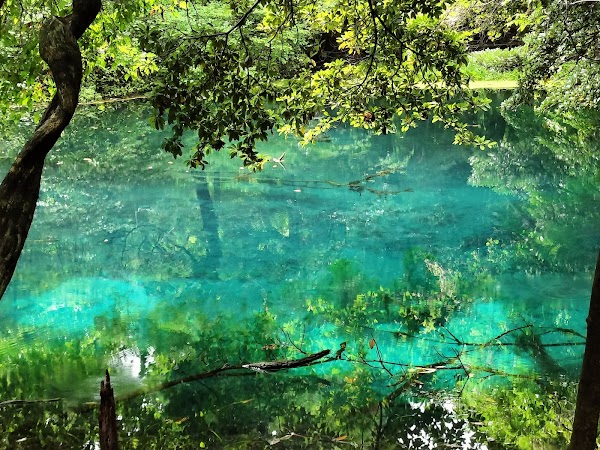 Japan 15