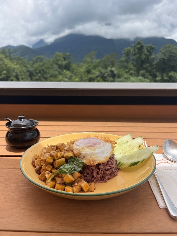 TATA Chiang Dao Cafe and Farm 4