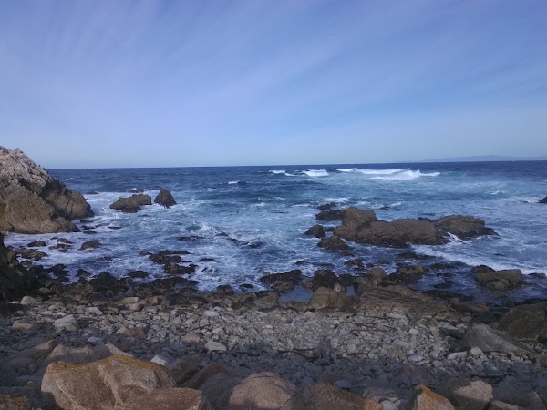 Asilomar State Marine Reserve