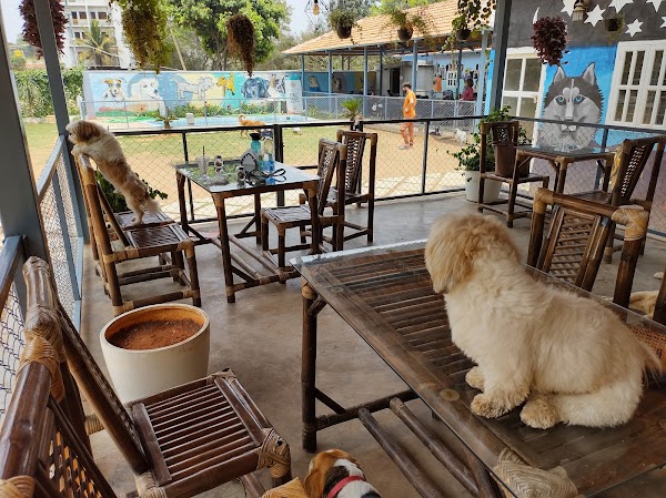Wille's Pet Paradise 1