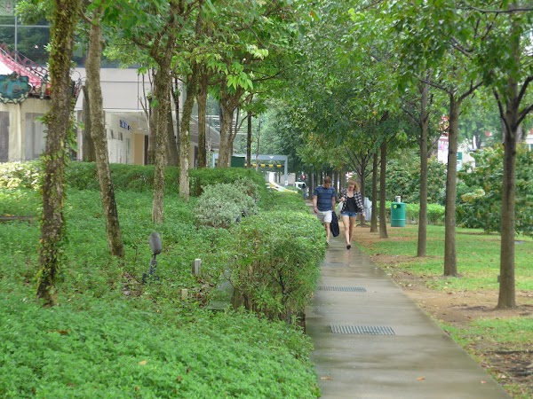 City Green 2