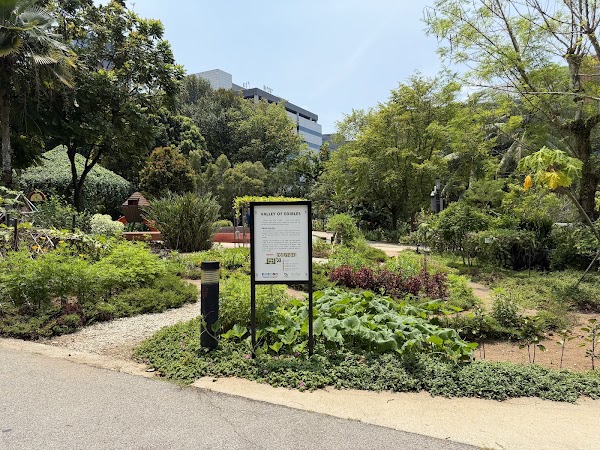 Edible Garden