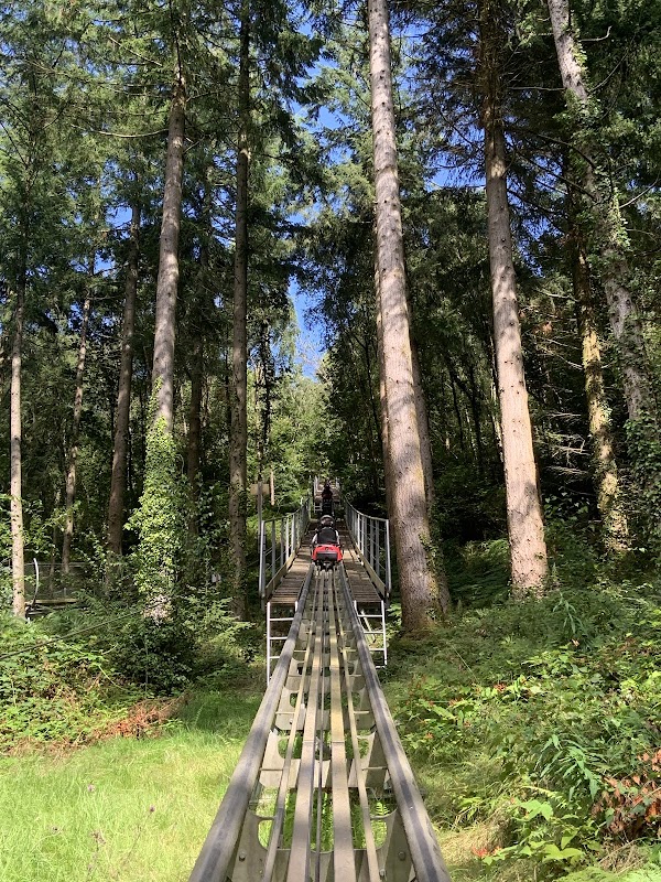 Zip World Betws-y-Coed 2