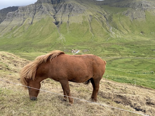 Skarðsáfossur 4
