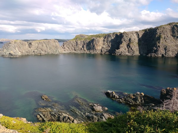 Twillingate 5