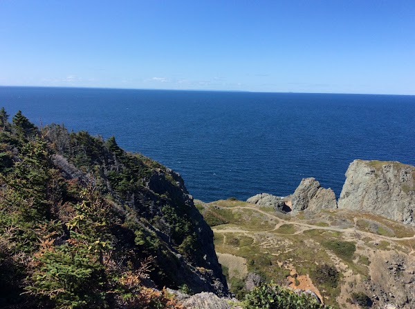 Twillingate 4