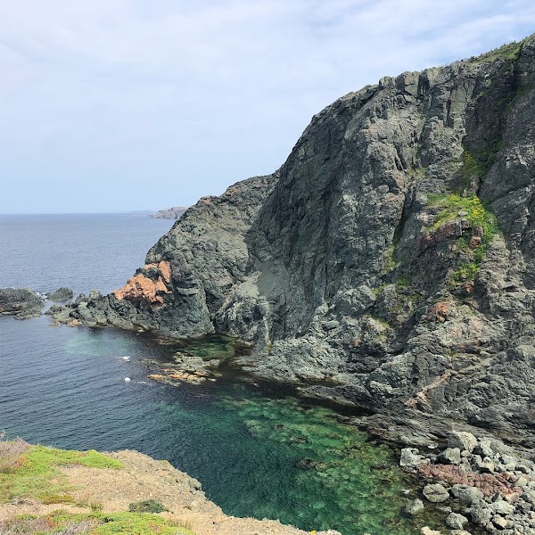 Twillingate 2