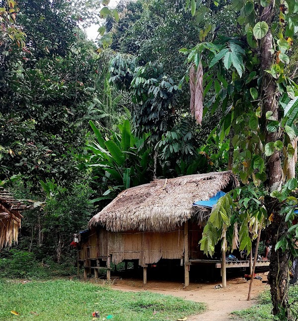 Bateq Nigerito Village Taman Negara