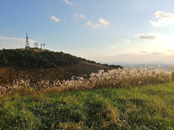금오름 1