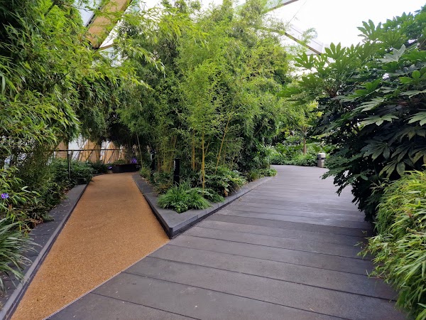 Crossrail Place Roof Garden 4
