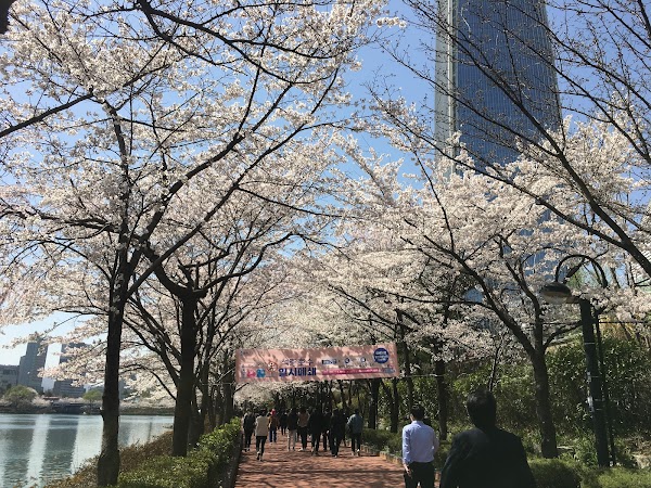 Seokchon Lake Park 5