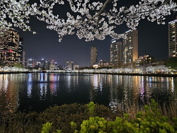 Seokchon Lake Park 2