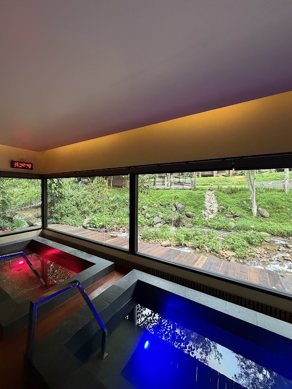 LAZULA : Forest Retreat 4