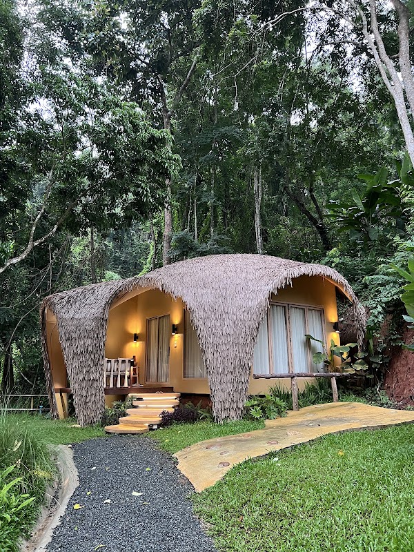 LAZULA : Forest Retreat 2