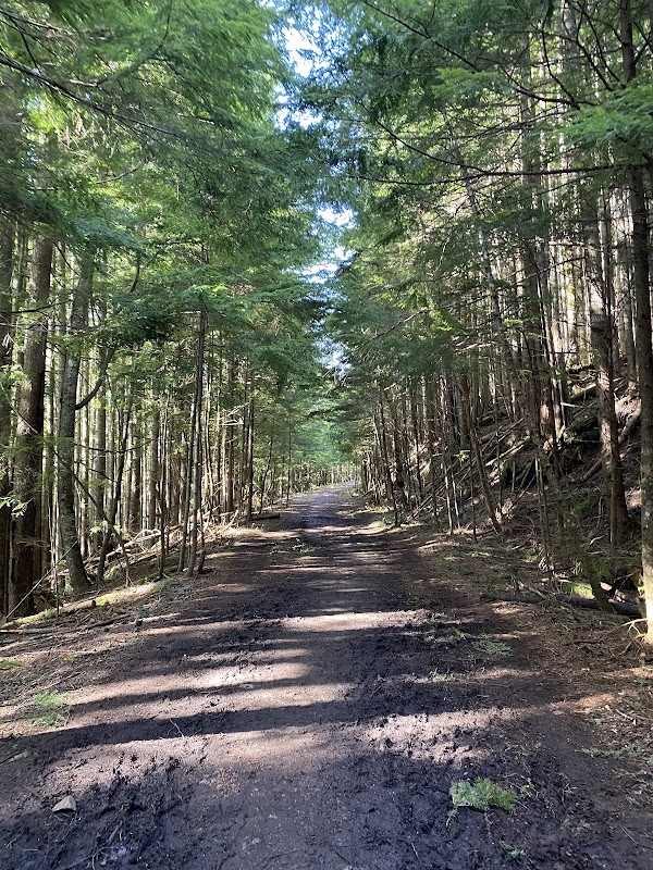 Tunnel Bluffs 4