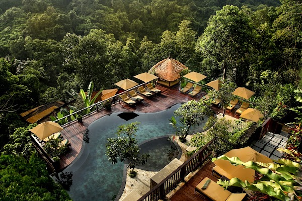 Nandini Jungle by Hanging Gardens