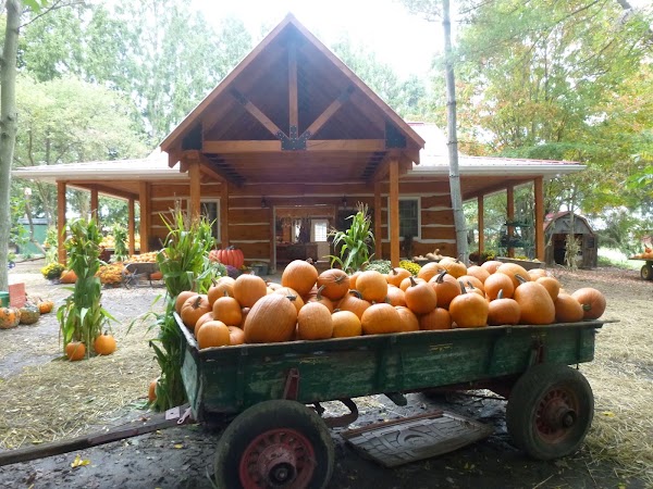 Fall Harvest Farm