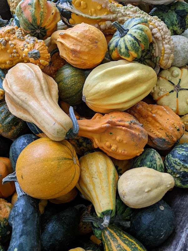Fall Harvest Farm 3