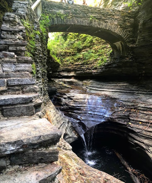 Finger Lakes 5