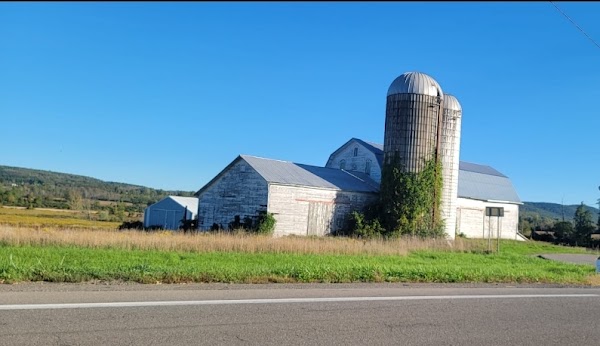 Finger Lakes 3