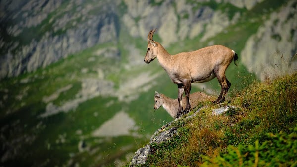Lacs des Chéserys 3