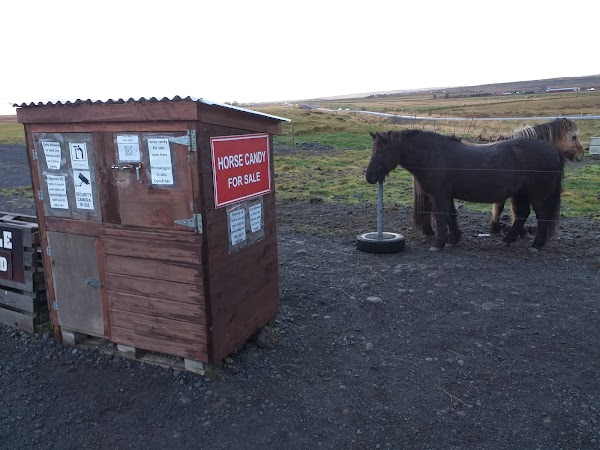 Brú horsefarm
