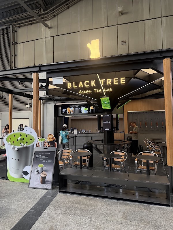 Black Tree @313 Somerset