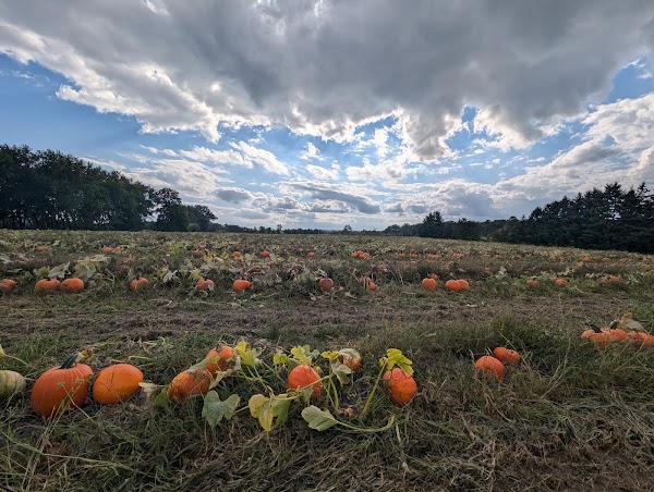 Hutchinson Farm