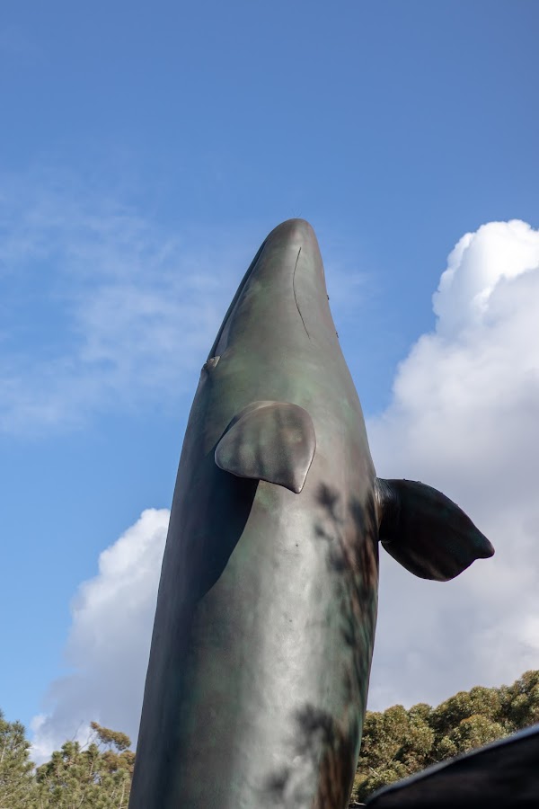 Birch Aquarium at Scripps 5