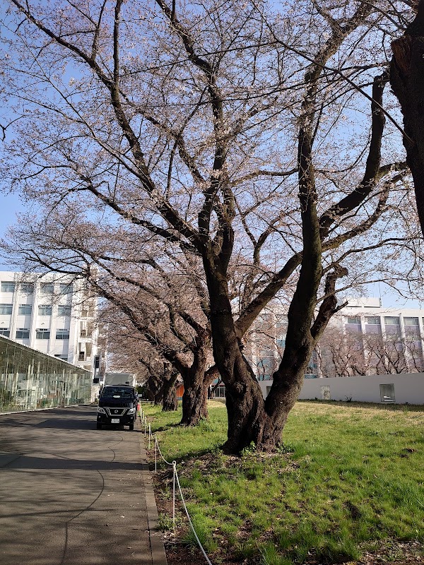 神奈川工科大学 KAIT広場 4