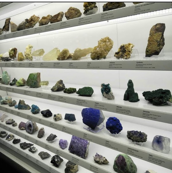 South Australian Museum 3